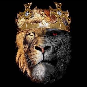 Meet your Posher, Sandy